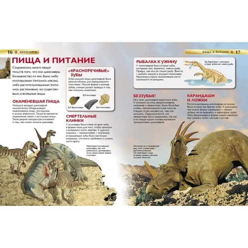 Динозавры. Детская энциклопедия: Количество страниц 64