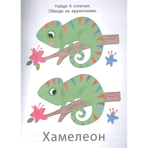 Найти отличия 2+. Более 50 увлекательных заданий: Обложка Мягкая