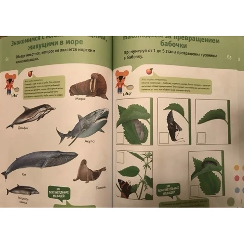 Познаем мир. 5-6 лет (+ наклейки): Обложка Мягкая