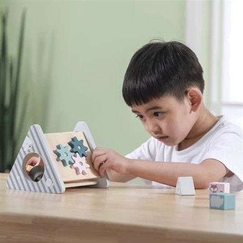 Деревянный сортер Viga Toys PolarB Развитие 5 в 1 (44007)