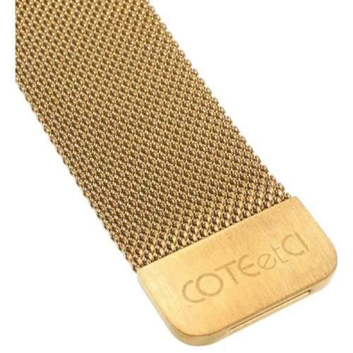 Аксессуар для Watch COTEetCI W6 Magnet Band Gold (WH5202-GD) for Apple Watch 38/40/41mm фото 4