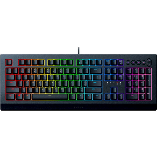Клавиатура RAZER Cynosa V2, RU (RZ03-03400700-R3R1)