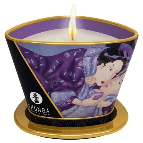 

Массажная свеча Shunga Candle, 170 мл, Экзотические фрукты