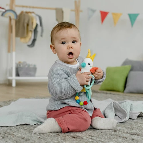 Погремушка-подвеска Fehn Попугай (4001998049060)