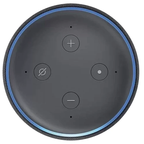 Акустика Amazon Echo Dot (3rd Generation) Charcoal: Тип портативна