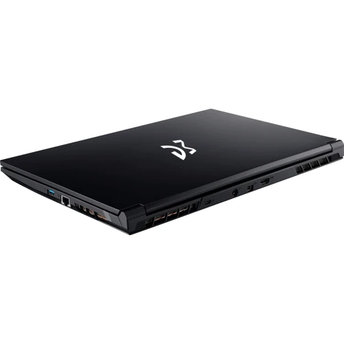 Ноутбук Dream Machines RG4060-15 (RG4060-15UA38) UA: Тип екрану матовый