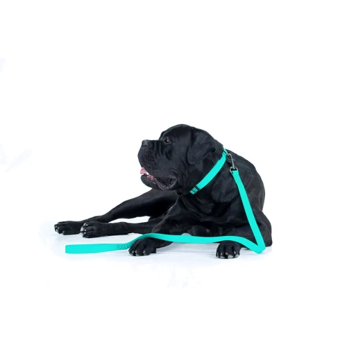 Поводок WAUDOG Waterproof, светящийся 15 мм 122 см ментоловый (2730): Тип Поводок