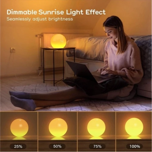 Настольная лампа Inspire RGB SLX04 10W 24LED Bluetooth: Назначение Для спальни