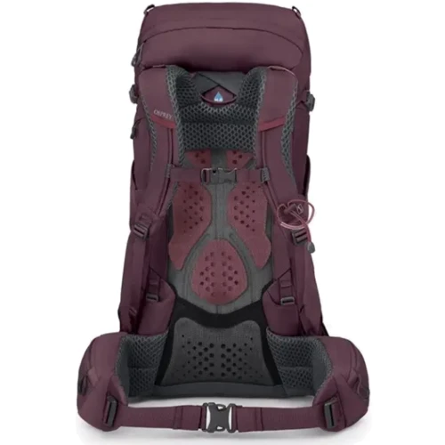 Рюкзак Рюкзак Osprey Kyte 48 elderberry purple - WM/L - фиолетовый (009.3328) фото 2