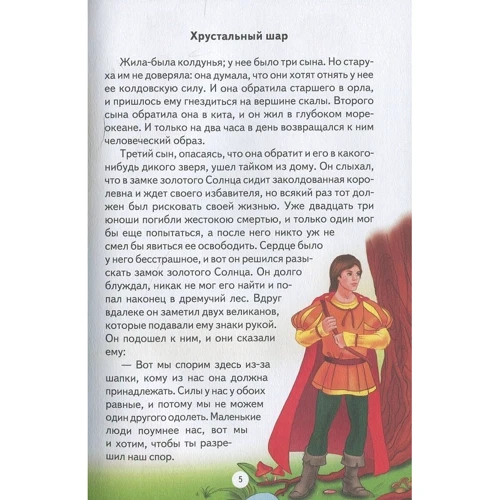 Золотой гусь и другие сказки: Обложка Твердая