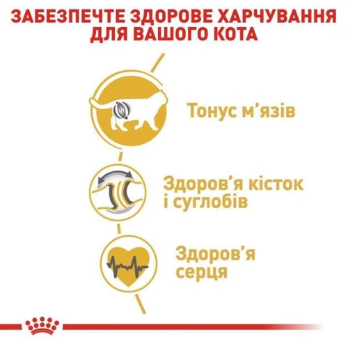 Сухой корм для котов Royal Canin British Shorthair пород британская короткошерстная 2 кг (2557020): Класс Супер премиум
