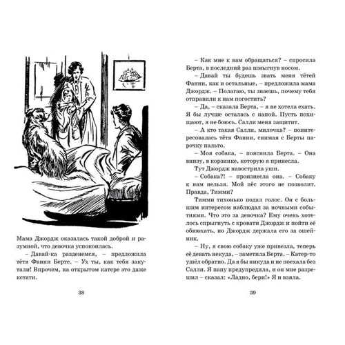 Энид Блайтон: Тайна серебристого лимузина: Жанр Приключения