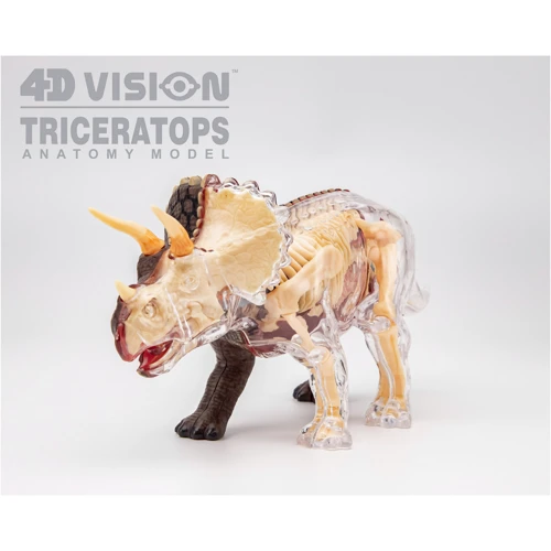Объемная анатомическая модель 4D Master Трицератопс (FM-622014) фото 11