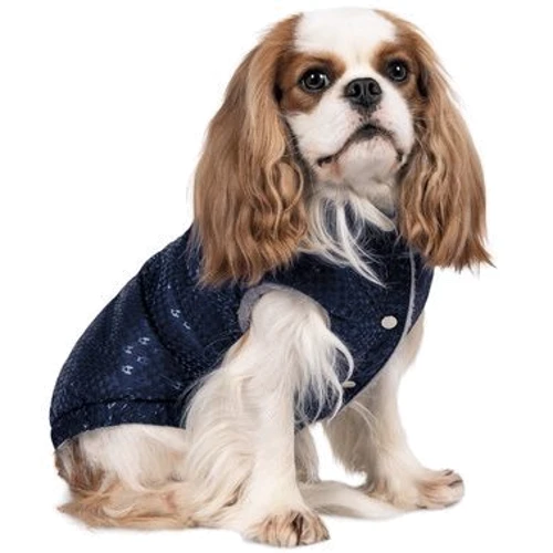 Жилет для собак Pet Fashion LUCKY синій XL (4823082428809): Тип Жилеты