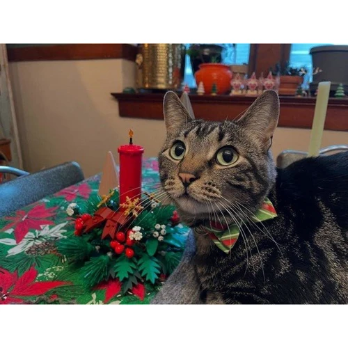 Конструктор LEGO Iconic Декор для рождественского стола (40743)