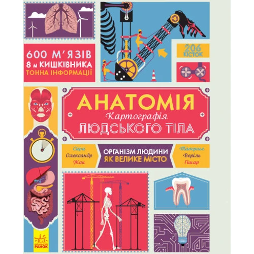 

Анатомія