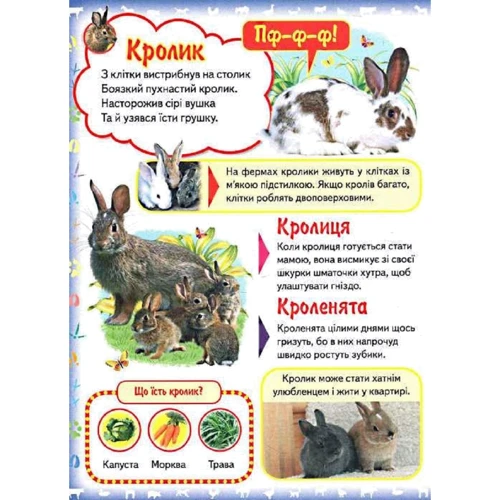 Моя перша книга. Про свійських тварин: Обложка Картон