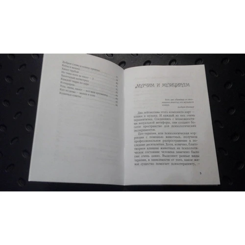 К. Крюгер: Мелодія моєї душі. Проективні карти для натхнення: Кількість сторінок 48 + 50 карт