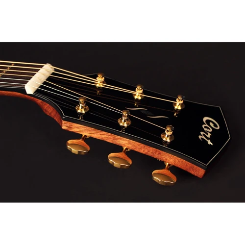 Гітара акустична CORT GOLD O6 (NAT) + кейс (Gold O6 NAT w / case): Тип Акустична гітара