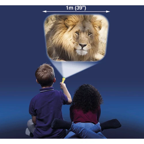 Фонарик-проектор Brainstorm Toys В мире животных (3 диска, 24 картинки) (E2012)