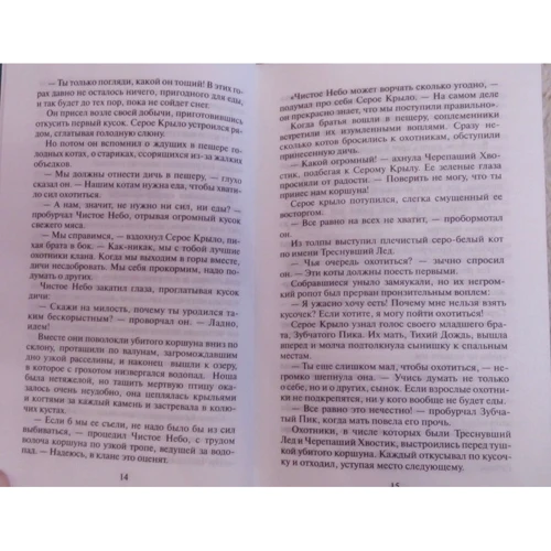 Эрин Хантер: Коты-воители. Солнечный путь: Жанр Детская фантастика и фэнтези