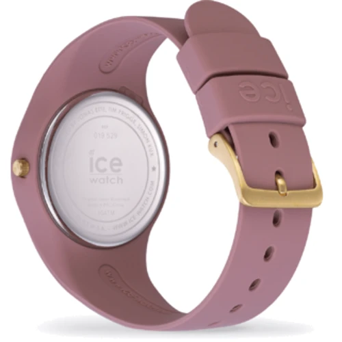 Наручные часы Ice-Watch 019529: Механизм Кварцевый