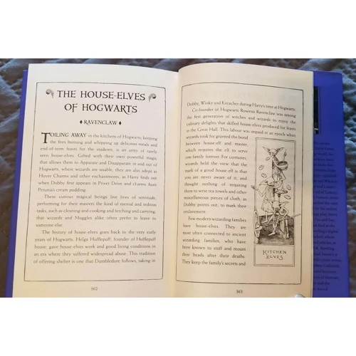 J. K. Rowling: Harry Potter and the Chamber of Secrets - Ravenclaw Edition: Кількість сторінок 372