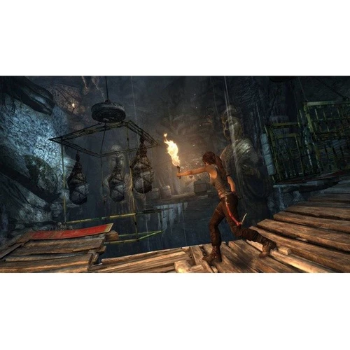 Tomb Raider: Definitive Edition (PS4): Серия приставки PlayStation 4