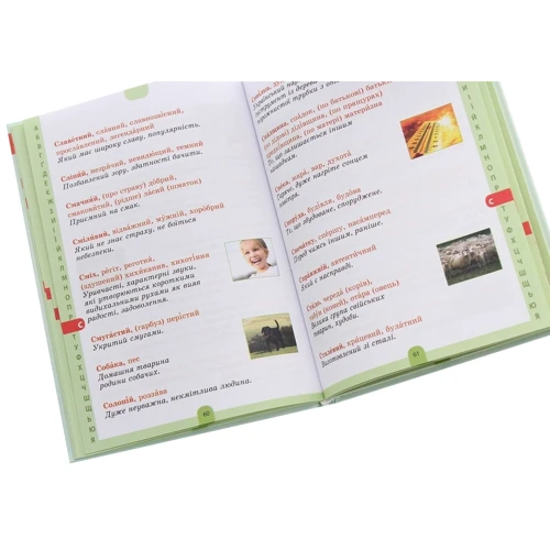 Ілюстрований словник синонимів, антонимів. 1-4 класи: Обложка Твердая