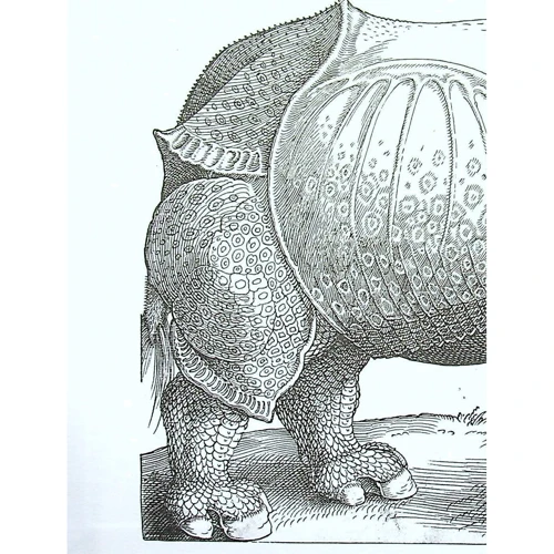 Блокнот: Albrecht Dürer: Производитель Ранок