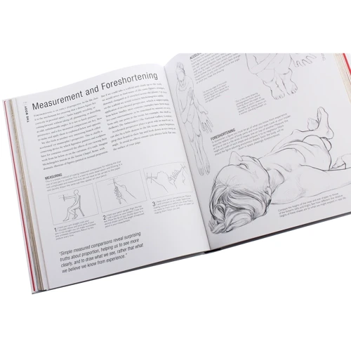 Sarah Simblet: Drawing for the Artist: Обложка Твердая