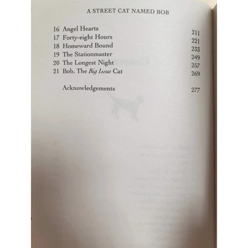 James Bowen: A Street Cat Named Bob: Жанр Художня література