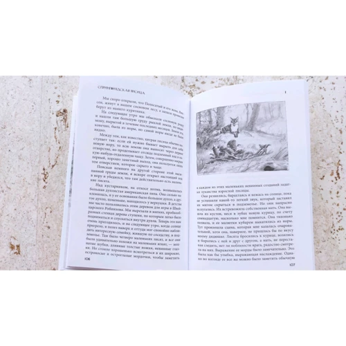 Ернест Сетон-Томпсон: Дикі тварини, яких я знав: ISBN 978-5-907302-35-8