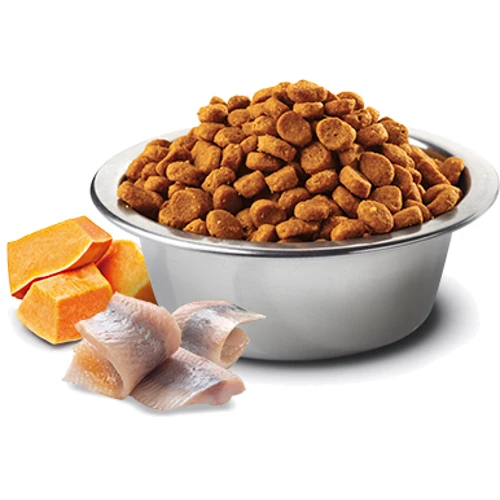 Беззерновой сухой корм Farmina N&D Grain Free Ocean Pumpkin для собак средних и крупных пород с треской и апельсином 12 кг (PND1200032): Тип Сухой корм