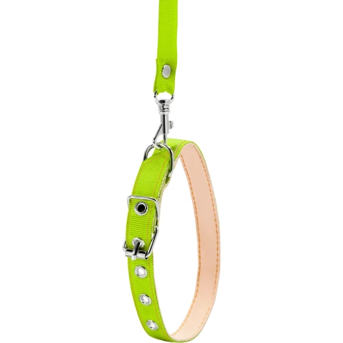 Ошейник с поводком Collar капроновый 14 мм 25-33 см зеленый (05485): Производитель Collar