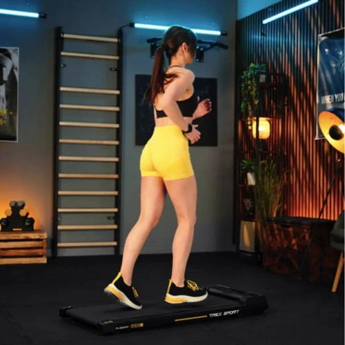 Беговая дорожка Trex Sport TX-300WP AERO (5902308232884)