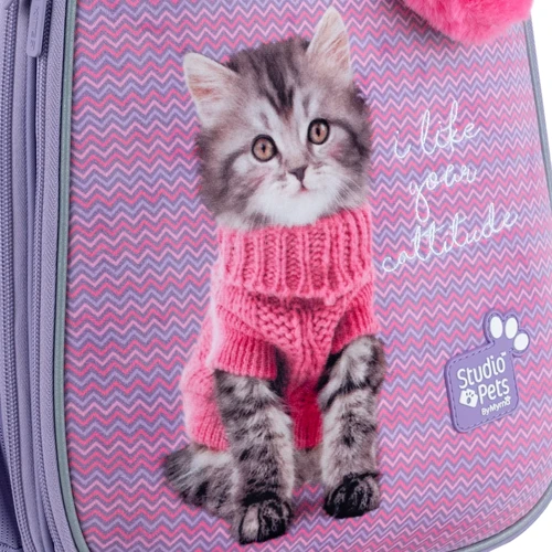Рюкзак Kite Education каркасный 531 Studio Pets (SP24-531M): Корпус рюкзака Каркасный