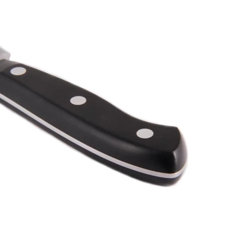 Нож для нарезки мяса F.Dick Premier Plus 21 см (8145521): Лезвие Нержавеющая сталь