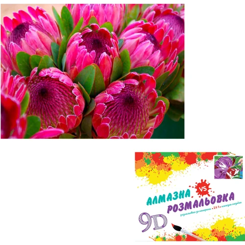 Картина 3-D ефект CY2301 2в1 Алмазна мозаїка+розмальовка, 40х50 см