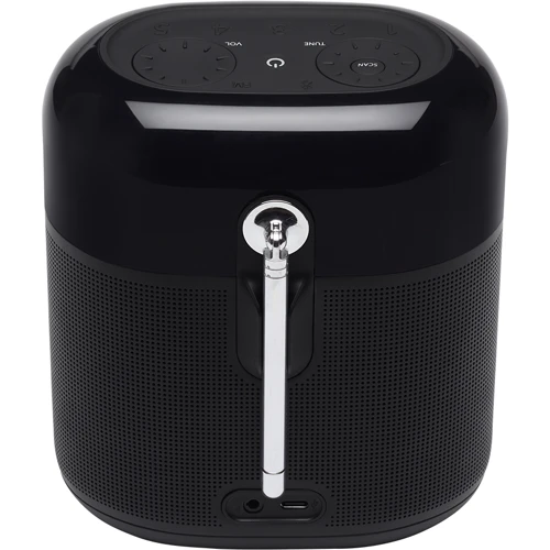 Акустика JBL Tuner XL, Black (JBLTUNERXLBLKEU): Тип портативная