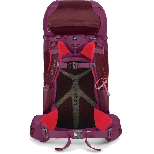 Рюкзак туристический Osprey Kyte 36 Grey Orchid WS/WM						: Производитель Osprey