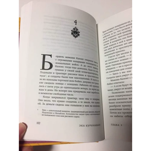 Эка Курниаван: Красота - это горе: Обложка Твердая