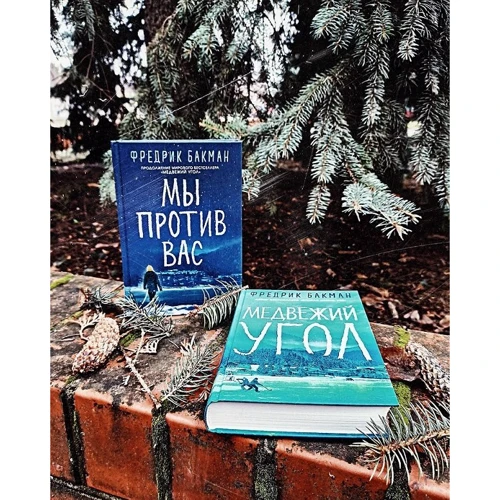 Комплект книг Фредрик Бакман. Медвежий угол + Мы против вас: Обложка Твердая