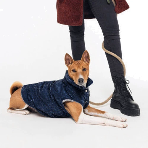Жилет для тварин Pet Fashion Lucky L Синій (4823082428793): Розмір тваринного Большие