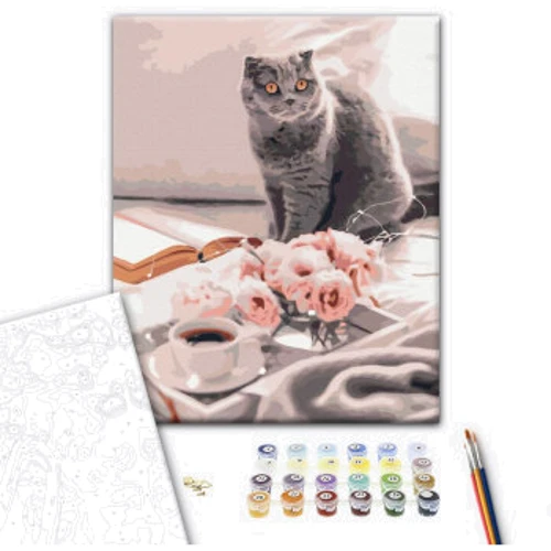 Картина по номерам Brushme Любимый британец 40x50 см (BS51927): Производитель Brushme