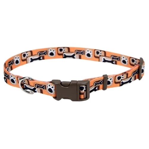 Ошейник для собак Coastal Pet Attire Style 1.6x25-36 см оранжевый (44481)