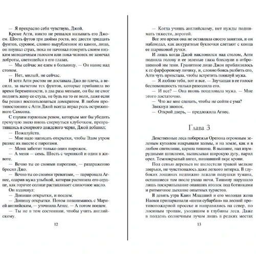 Дин Кунц: Краем глаза: Количество страниц 768