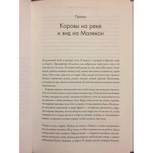 Де народжується інтелект: Кількість сторінок 246