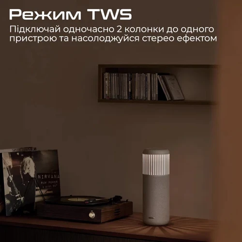 Акустика HiFuture Wedge Silver (wedge.silverwhite): Выходная мощность 50 Вт