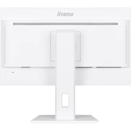 Монітор iiyama XUB2497HSN-W1: Стандарт VESA 100x100